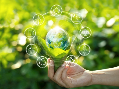 Bioeconomia na Amazônia: Como o Consumo Consciente Pode Transformar Vidas