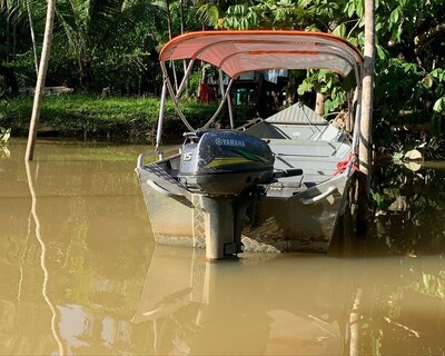 Jungle Boat